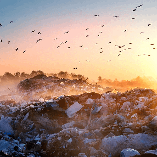 Landfill waste